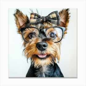 Yorkshire Terrier 37 Canvas Print