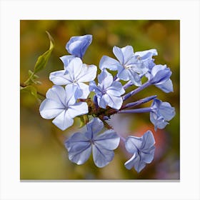 Blue Flowers Canvas Print