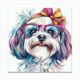 Shih Tzu 13 Canvas Print