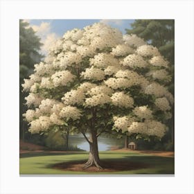 Georgia dogwood tree Canvas Print