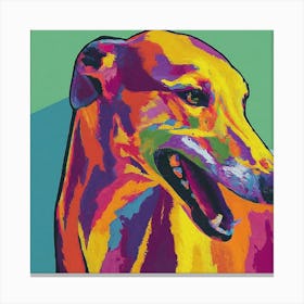 Greyhound Canvas Print Canvas Print