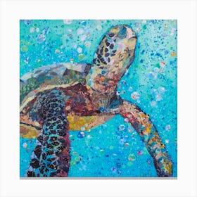 Blue Baby Turtle In The Sea Square Canvas Print