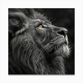 Black And White Lion Canvas Print