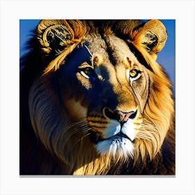 Lion Glare Canvas Print