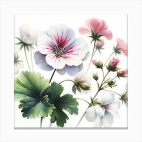 Flower of Geranium Canvas Print