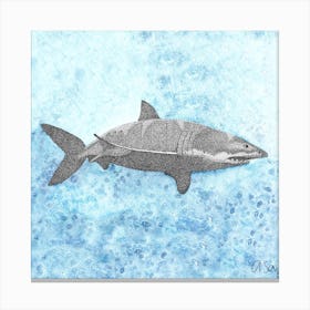 Shark. 1 Canvas Print