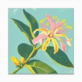 Bergamot 3 Square Flower Illustration Canvas Print