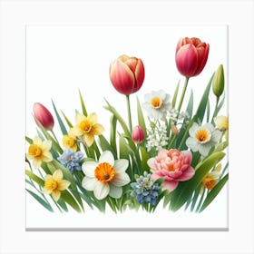 Tulips and Daffodils 1 Canvas Print