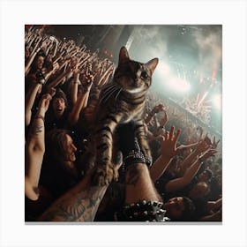 Cat On Stage 2 Canvas Print