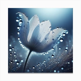 White Flower With Water Droplets Canvas Print