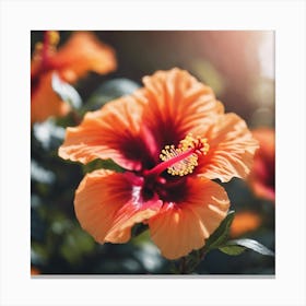Hibiscus Flower Canvas Print