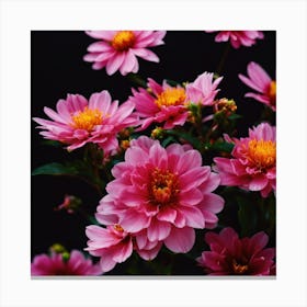 Pink Dahlias Canvas Print