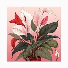 Pink And Red Plant Illustration Peace Lily Art Print 2 Canvas Print