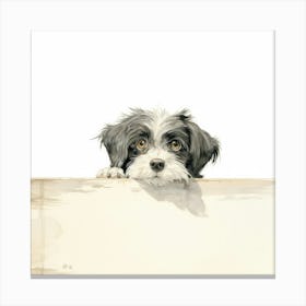 Shih Tzu 8 Canvas Print