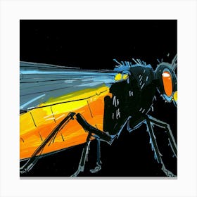 Beetle 1 Canvas Print