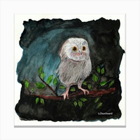 Owl Painting Canvas Print