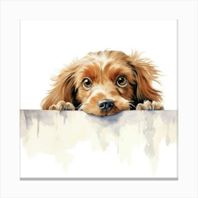 Setter English 1 Canvas Print