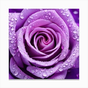 Purple Rose With Water Droplets Canvas Print