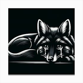 A black fox 3 Canvas Print