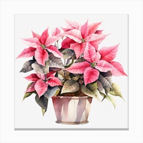 Poinsettia In A Pot 2 Canvas Print