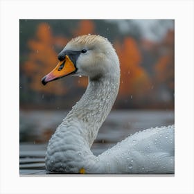 Swan In The Rain 4 Canvas Print