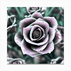 Purple Roses Canvas Print