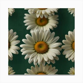 Daisy 1 Canvas Print