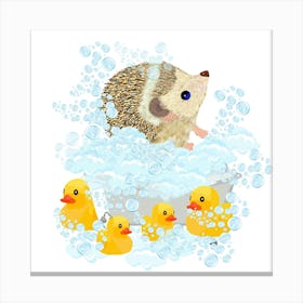 Hedgehog, bubbles and bath time Canvas Print