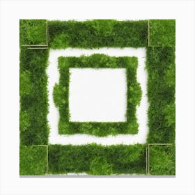 Moss Frame 4 Canvas Print