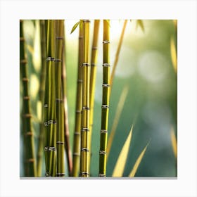 Bamboo Forest 5 Canvas Print