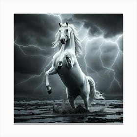 White Horse In The Storm 1 Canvas Print