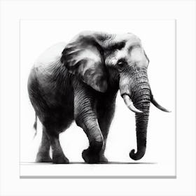 Elephant In Black And White 1 Canvas Print