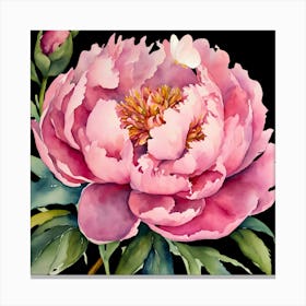 Pink Peony Watercolor Painting Blooming Spring Flowers in the Garden Canvas Print