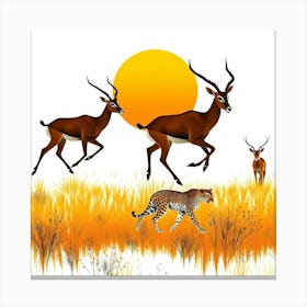 Antelopes Canvas Print