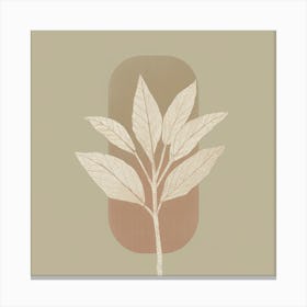 Leaf In A Frame Canvas Print