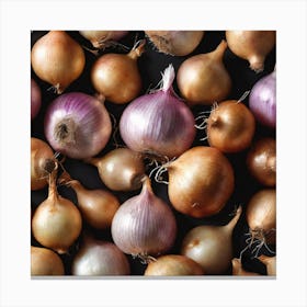 Onion Bunches 5 Canvas Print