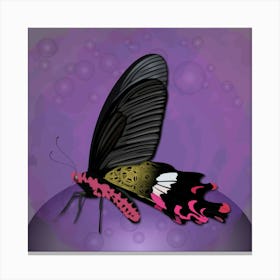 Mechanical Butterfly The Common Windmill Byasa Polyeuctes On A Purple Background Canvas Print