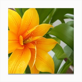 Yellow Lily Flower Canvas Print