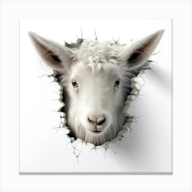 Cute Sheep Canvas Print