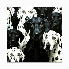 Dalmatian Contrast - Dalmatian 3D Canvas Print