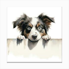 Australian Shepherd 4 Canvas Print