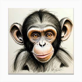 Chimpanzee 9 Canvas Print