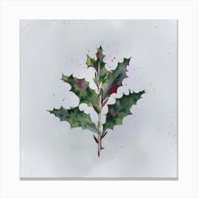 Holly Leaf Canvas Print