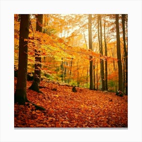 Firefly Autumn Leaves Forest Background 82158 Stampe su tela