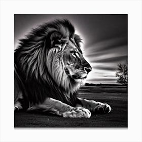 Lionnn Canvas Print