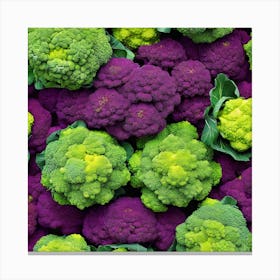 Purple And Green Cauliflower Canvas Print