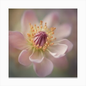 A Close Up Of A Delicate Bike Bud Just Beginning To Bloom, With Soft Petals And Hints Of Vibrant Col Canvas Print