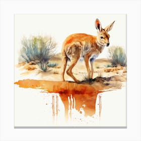 Kangaroo Canvas Print