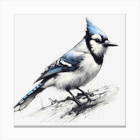 Bluejay ~Reimagined 7 Canvas Print