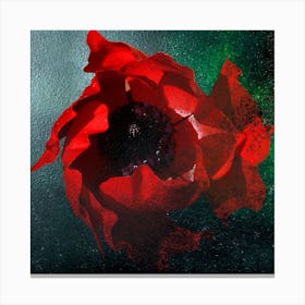 Poppy Madness Original Photography Canvas Print